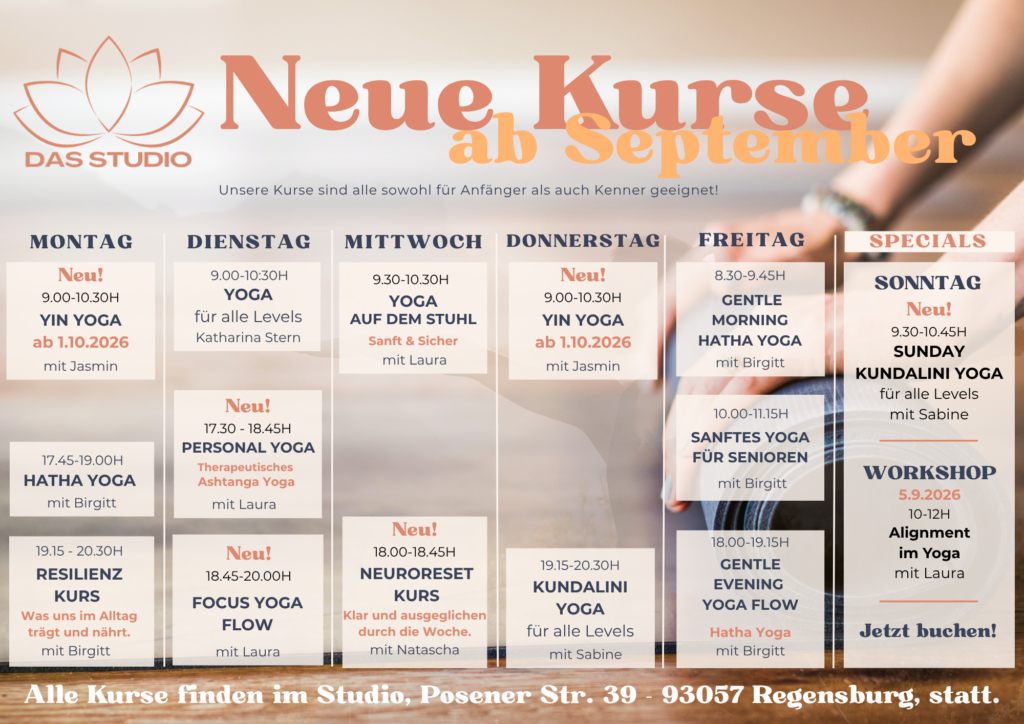 Aktueller Kursplan von DAS STUDIO